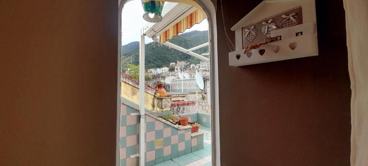 Judith Wright'S Home ไมยอรี ภายนอก รูปภาพ